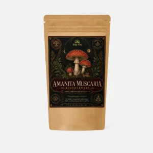 Amanita muscaria pulver